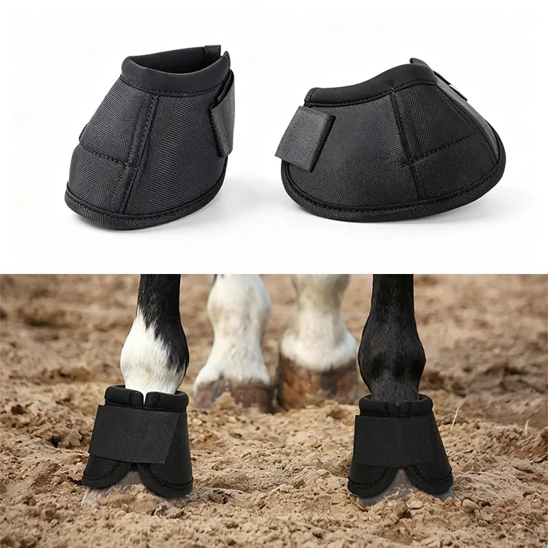halter export.1.2.