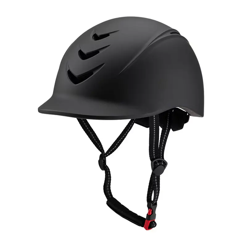 riding safty dealer