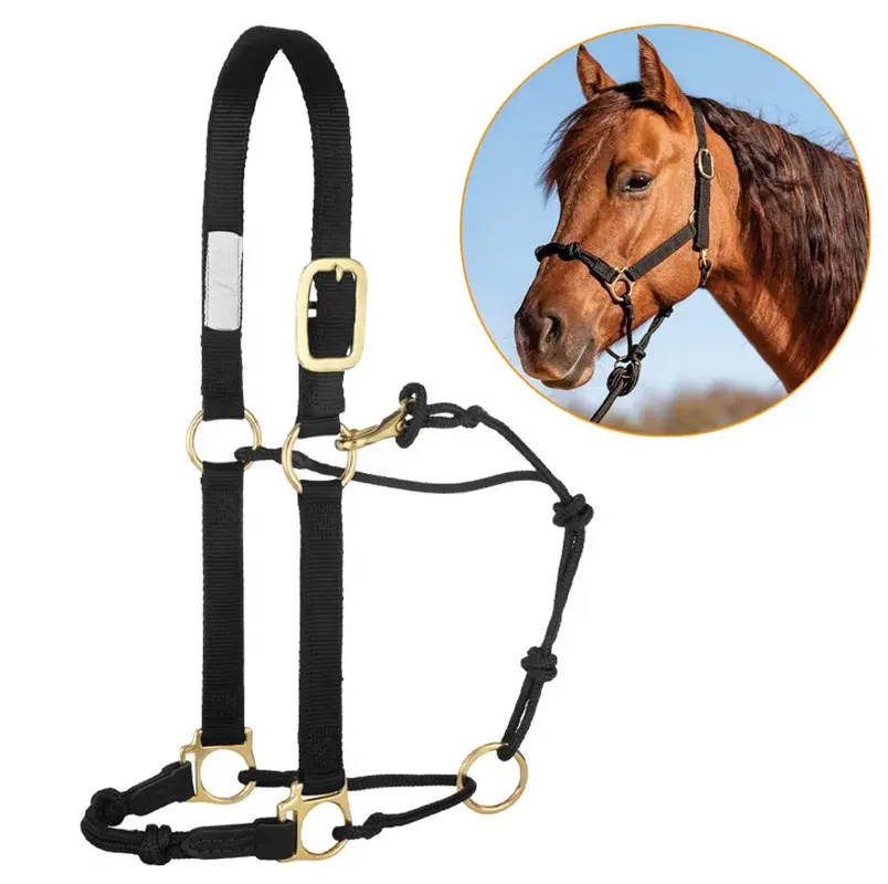 halter.1