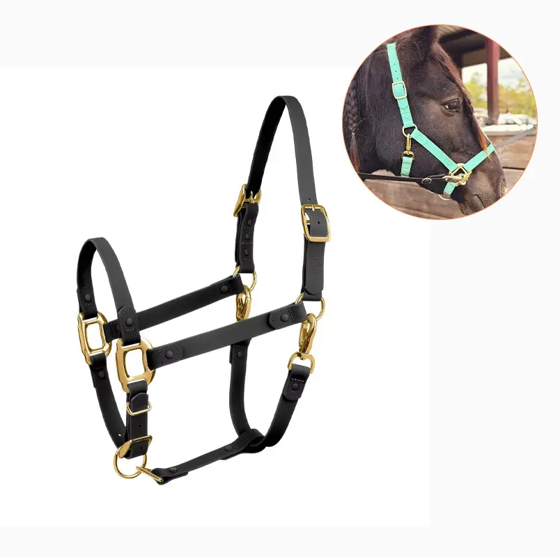 halter9