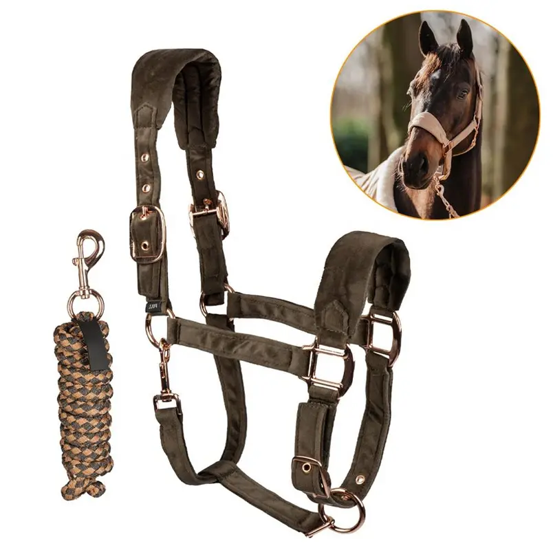halter.8