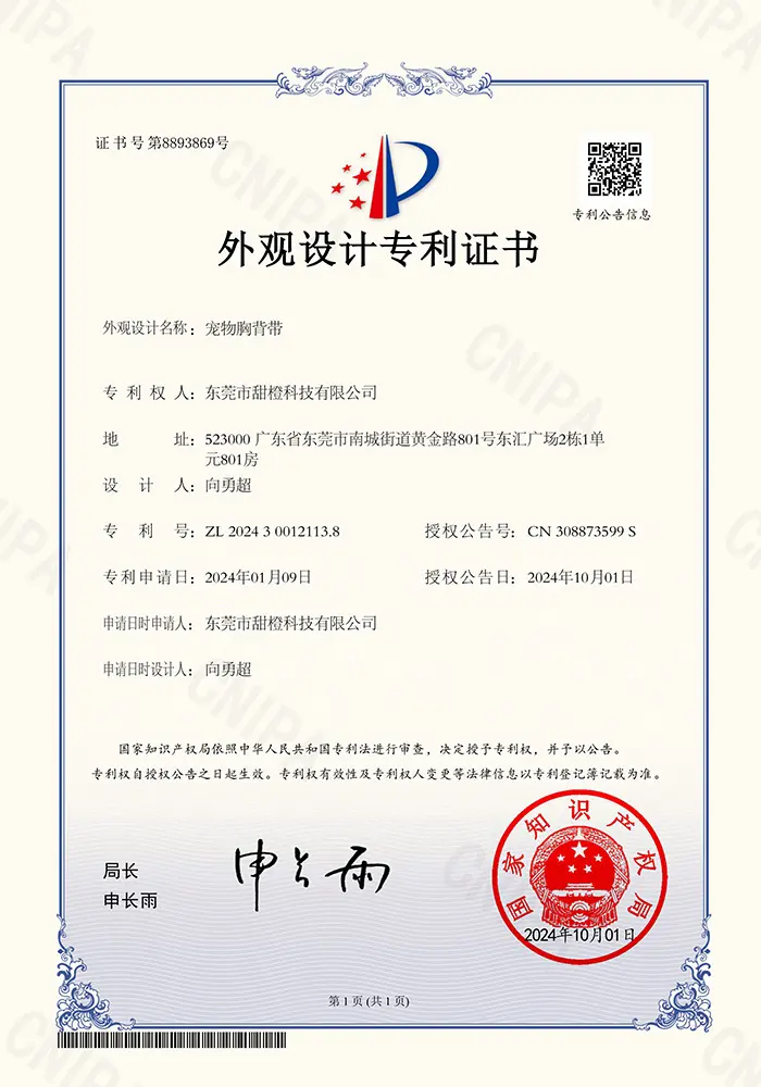 Patent