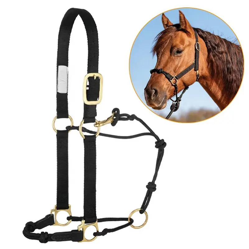 horse tack supplier.31