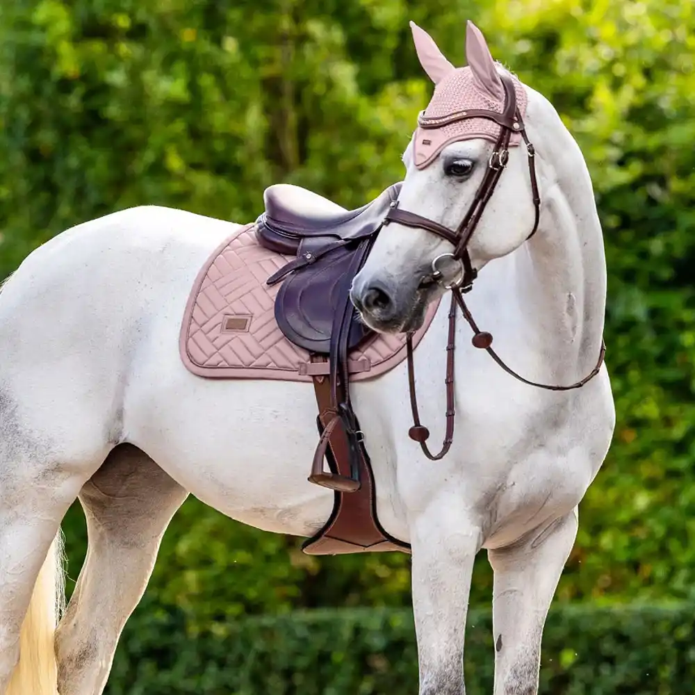 horse product manufacturer.
